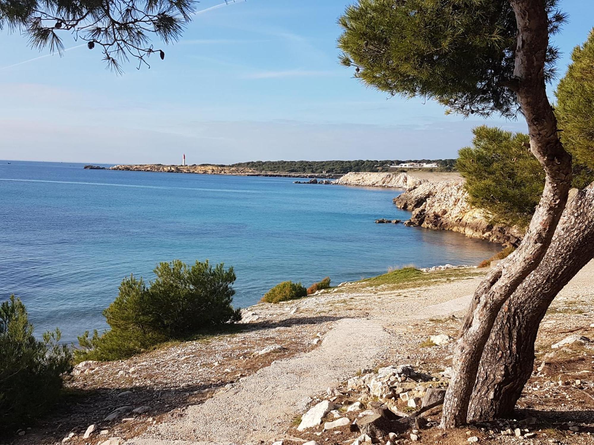 A 50M Du Port De Carry-Cote Bleue Lägenhet Exteriör bild